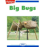 Big Bugs : Read With Highlights - Jennifer Mattox