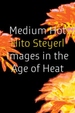 Medium Hot : Images in the Age of Heat - Hito Steyerl