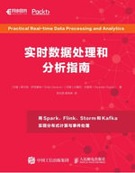实时数据处理和分析指南 : Chinese Edition - Posts & Telecom Press