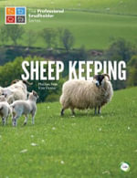 Sheep Keeping : Professional Smallholders - Kim Hamer