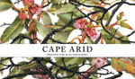 Cape Arid - Philippa Nikulinsky