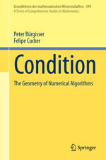 Condition : The Geometry of Numerical Algorithms - Peter Bürgisser