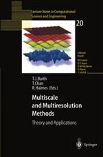 Multiscale and Multiresolution Methods : Theory and Applications - Robert Haimes