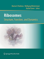 Ribosomes Structure, Function, and Dynamics - Marina V. Rodnina