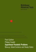 Superlinear Parabolic Problems : Blow-up, Global Existence and Steady States - Pavol Quittner