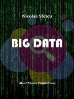 Big Data - Nicolae Sfetcu
