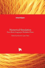 Numerical Simulation : From Brain Imaging to Turbulent Flows - Ricardo Lopez-Ruiz