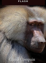 Flash - Glenn Compain