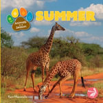 Summer : Animals in a Season - Kerri Mazzarella