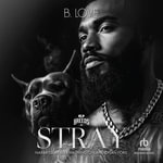 Stray : BLP Breeds - B. Love