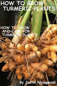 How To Grow Turmeric Plants : How To Grow And Care For Turmeric Plants - Justin Njoagwuali