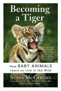 Becoming a Tiger : How Baby Animals Learn to Live in the Wild - Susan McCarthy