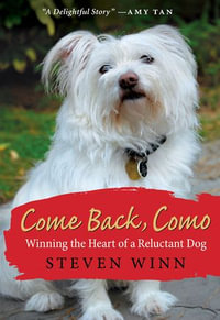 Come Back, Como : Winning the Heart of a Reluctant Dog - Steven Winn