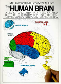 Human Brain Coloring Book : Coloring Concepts - Diamond Books