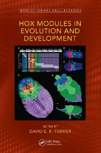 Hox Modules in Evolution and Development : Evolutionary Cell Biology - David E. K. Ferrier
