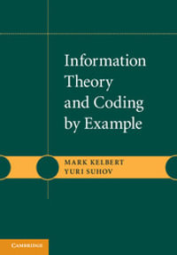 Information Theory and Coding by Example - Mark Kelbert