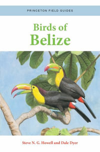 Birds of Belize : Princeton Field Guides - Steve N. G. Howell