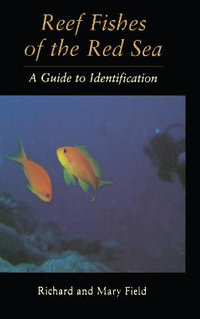 Reef Fish Of The Red Sea : A Guide to Identification - Richard Field