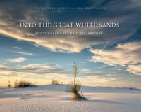 Into the Great White Sands - Craig Varjabedian