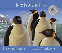 Here Is Antarctica : Web of Life - Madeleine Dunphy