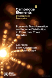 Economic Transformation and Income Distribution in China over Three Decades : Elements in Development Economics - Bjorn  Gustafsson