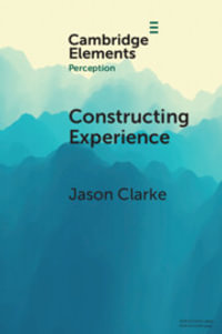 Constructing Experience : Expectation and Attention in Perception - Jason Clarke