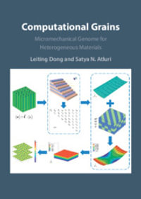Computational Grains : Micromechanical Genome for Heterogeneous Materials - Leiting Dong