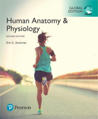 Human Anatomy & Physiology : Global 2nd Edition - Erin C. Amerman
