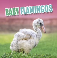 Baby Flamingos : Baby Animals - Martha E. H. Rustad