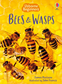 Bees and Wasps : Usborne Beginners - James Maclaine