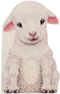 Furry Lamb : Mini Friends Touch & Feel Books - Annie Auerbach