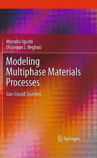 Modeling Multiphase Materials Processes : Gas-Liquid Systems - Manabu Iguchi