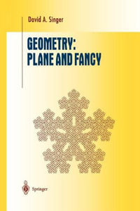 Geometry : Plane and Fancy - David A. Singer