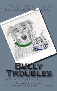 Bully Troubles : Adventures of Bear B & Stone - Clark L. Higgins