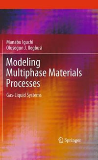 Modeling Multiphase Materials Processes : Gas-Liquid Systems - Manabu Iguchi