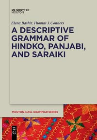 A Descriptive Grammar of Hindko, Panjabi, and Saraiki : Mouton-CASL Grammar Series [MCASL] - Elena Bashir
