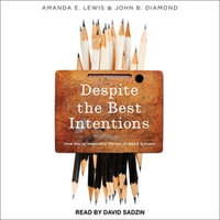 Despite the Best Intentions : How Racial Inequality Thrives in Good Schools - Amanda E. Lewis