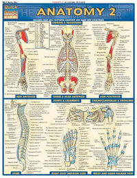 Anatomy 2 - Reference Guide : Quick Study Academic - Vincent Perez