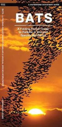 Bats : A Folding Pocket Guide to Familiar & Unusual Species Worldwide - James Kavanagh