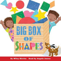 Big Box of Shapes - Wiley Blevins