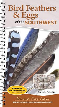 Bird Feathers & Eggs of the Southwest : Identify 40 Species of Common Backyard Birds - Stephanie Panlasigui