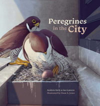 Peregrines in the City - Andrew Kelly