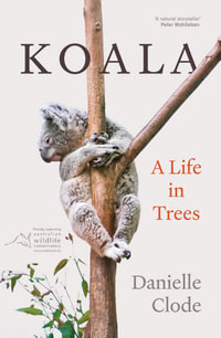 Koala : A Life in Trees - Danielle Clode