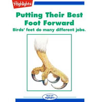 Putting Their Best Foot Forward : Birds' feet do many different jobs. - Daryl-Lynne Gottier
