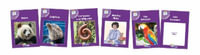 Core Purple Non-Fiction Readers (6 books) : in Precursive Letters (British English Edition) - Sara Wernham