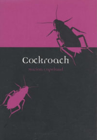 Cockroach : Animal Series - Marion Copeland