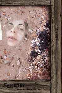 Feather : Tales of Isolation and Descent (Paperback) - David Rix
