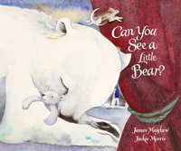 Can You See a Little Bear? - James Mayhew
