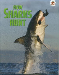 How Sharks Hunt : Sharks! - Paul Mason