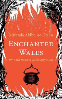 Enchanted Wales : Myth and Magic in Welsh Storytelling - Miranda Aldhouse-Green